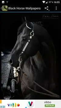 Descarga de la aplicación Fondos Pantalla Caballo Negro 2023 - Gratis - 9Apps Descarga de la aplicación Fondos Pantalla Caballo Negro 2023 - Gratis - 9Apps