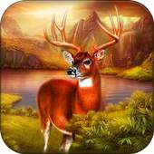 Deer Hunter : Hunting Deer
