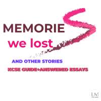 MEMMORIES WE LOST GUIDE  REVISION PAPERS   ANSWERS