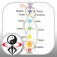 Acupressure Massage Qigong (YMAA) on 9Apps