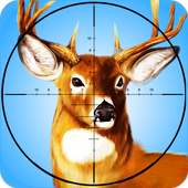 Deer Hunting - 2015 Safari
