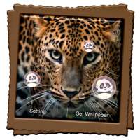 Leopard Live Wallpaper