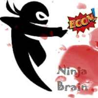 Ninja Brain Game