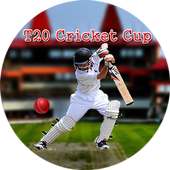 T20 Cricket Cup