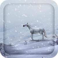 3D White Horse Live Wallpaper on 9Apps