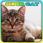Super Cat 3D