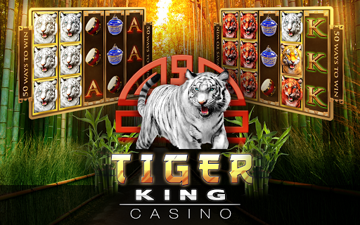 Slots Tiger King Casino Slots screenshot 10