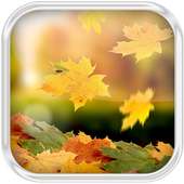 Autumn Leaves Water Effect LWP