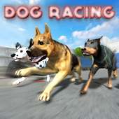 Dog Racing : Dog Games