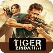 Best Tiger Zinda Hai Movie Soundtrack on 9Apps