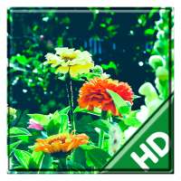 Beautiful Spring Garden APUS Live Wallpaper