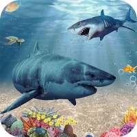 Super Shark ปลาฉลามเกมปลาฉลาม