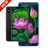 Lotus Flower Wallpaper HD on 9Apps