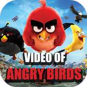 Video of Angry Birds