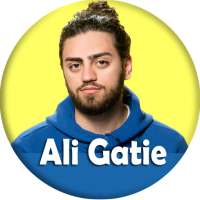Ali Gatie songs - offline