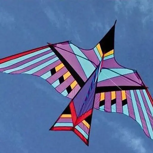 Kite Design Options APK Download 2023 - Free - 9Apps