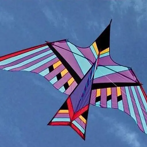 Kite Design Options APK Download 2023 - Free - 9Apps Kite Design Options APK Download 2023 - Free - 9Apps