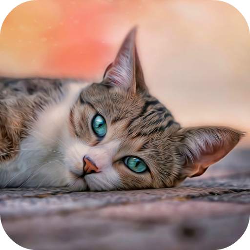 10000  Cats Wallpapers