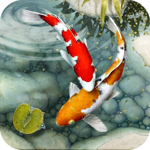 Tải Water Garden Live Wallpaper MOD APK 188 Mở khóa Premium