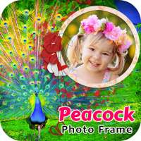 Peacock Photo Frame on 9Apps