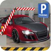 Challenging Vehicle Parking Game
