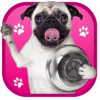 Best Raw Dog Food 🇺🇸 on 9Apps