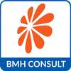 BMH Consult