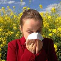 Allergic Rhinitis/ Hay Fever