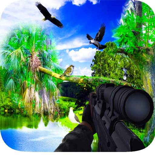 Birds Hunting Game 3D