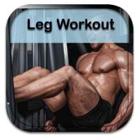 Men Leg Workout Guide