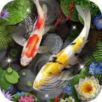 3D рыбки кои тема & Оживленный эффект 3D пульсации