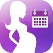 Pregnancy Due Date Calculator