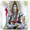 4D Shiva Live Wallpaper