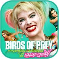 Birds of Prey Theme & Live Wallpaper