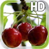 Berry Cherry LWP Free