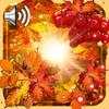 Autumn Sun Live Wallpaper