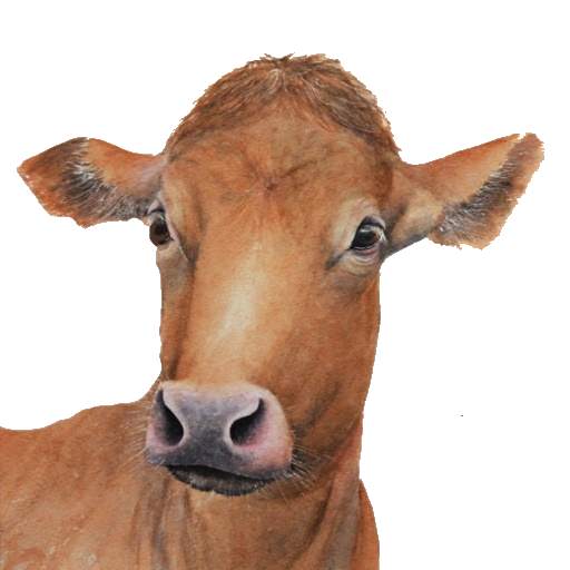 My Cattle Manager -Farming app