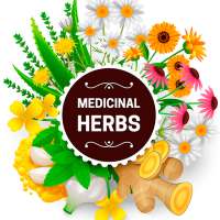 El ABC de las Plantas Medicinales y aromáticas on 9Apps