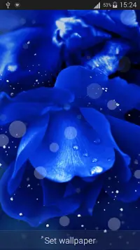 Blue Rose Live Wallpaper HD APK Download 2023 - Free - 9Apps