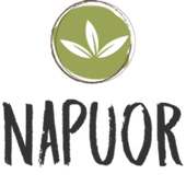 napuor on 9Apps