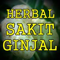 Ramuan Herbal Ginjal Paling Ampuh Dan Alami