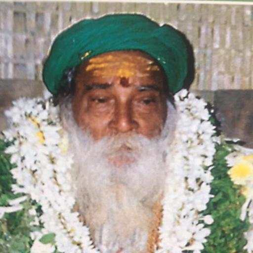 Yogi Ramsuratkumar Satsangs