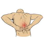 Back Pain Exercises 1