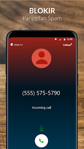 CallApp: Caller ID & Blokir screenshot 2