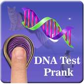 DNA Test Prank