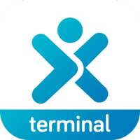 Terminal