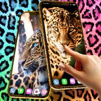 Cheetah leopard live wallpaper on 9Apps