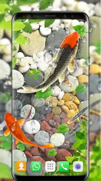 Descarga de la aplicación peces de pantalla en vivo 2021 fondos de acuario 2023 - Gratis - 9Apps Descarga de la aplicación peces de pantalla en vivo 2021 fondos de acuario 2023 - Gratis - 9Apps