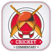 Cricket Commentary