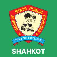 State Public School,Shahkot